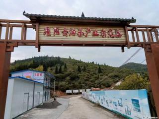【灌阳县油茶产业示范区】一个有着充实的精神生活的人,对待身外之物自会有一种淡泊的态度 - 天津28生活网 tj.28life.com