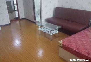 (单间出租)招合租 MSD旁精装单间带卫生间 空间大 环境好 生活方便 - 天津28生活网 tj.28life.com