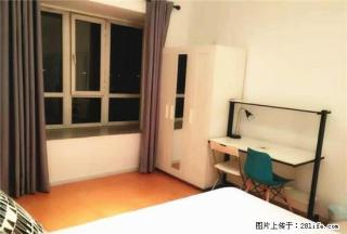 (单间出租)海河金湾公寓 蛋壳公寓直租 返现一千六 高层电梯交通便利 - 天津28生活网 tj.28life.com