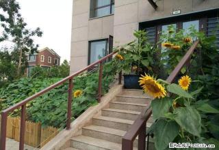 奕聪花园带院子地下一层 6室 4厅 3卫 做教育办公都可以 - 天津28生活网 tj.28life.com