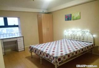 晋丰大厦,精装LOFT,可租办公,居家,大悦城旁 - 天津28生活网 tj.28life.com
