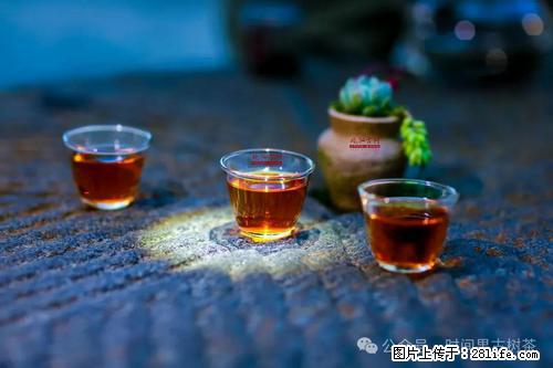 时间果百年古树2025年春红茶 - 购物交流 - 天津生活社区 - 天津28生活网 tj.28life.com