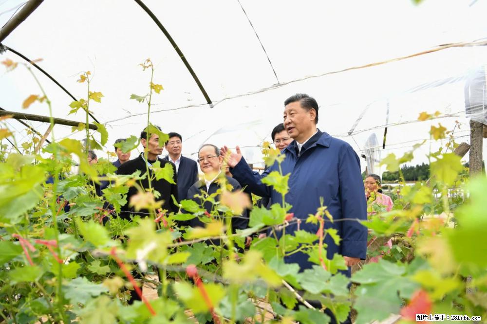 习近平赴广西考察调研 - 天津生活资讯 - 天津28生活网 tj.28life.com