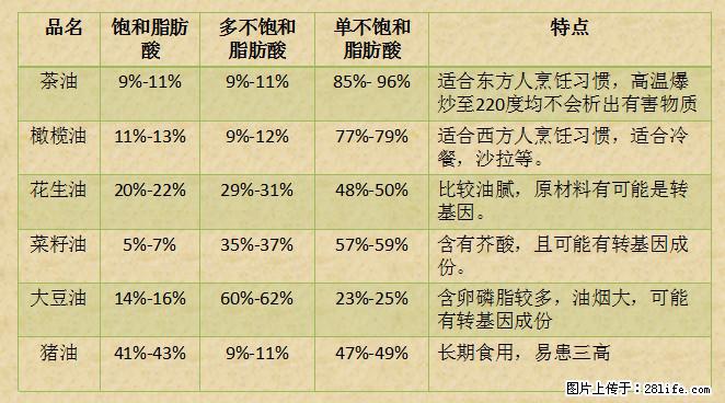 揭秘茶油的5大核心营养成分!被称为人体健康的“守护盾”! - 天津生活资讯 - 天津28生活网 tj.28life.com