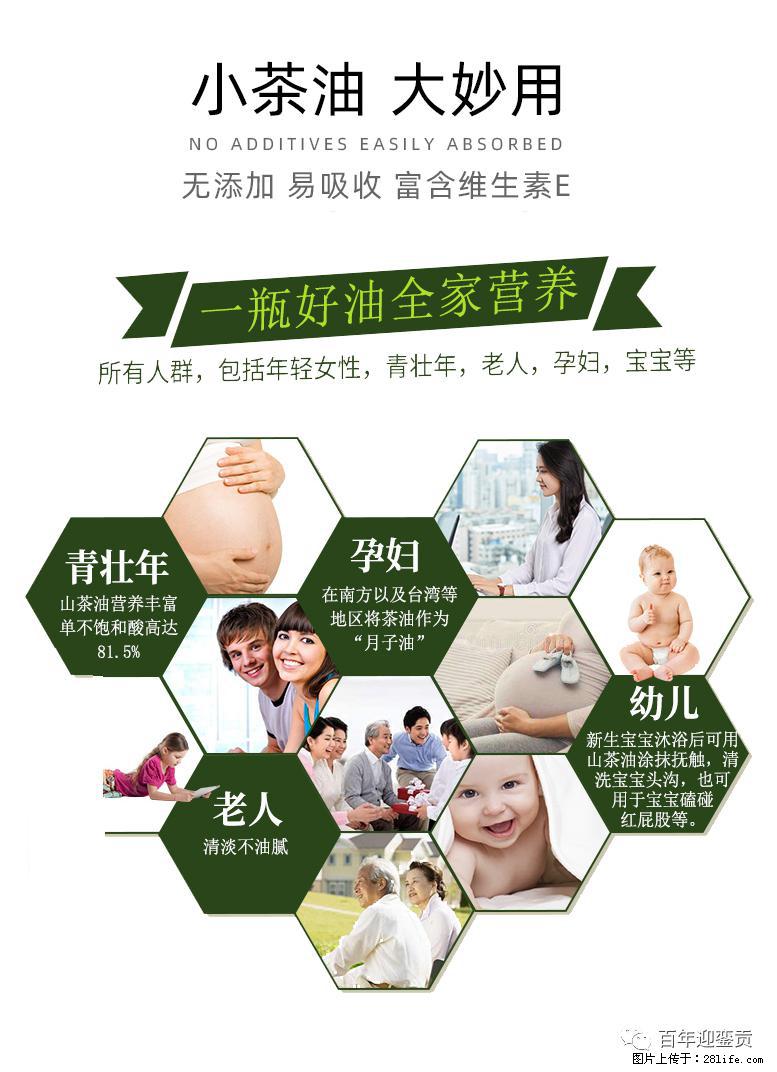 世界没有真相,只有认知,最好的食用油是中国的山茶油! - 天津生活资讯 - 天津28生活网 tj.28life.com