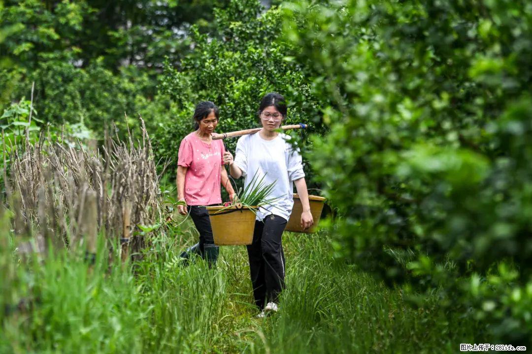 全网追的“扁担女孩”，找了一份暑假工，时薪12元 - 天津生活资讯 - 天津28生活网 tj.28life.com
