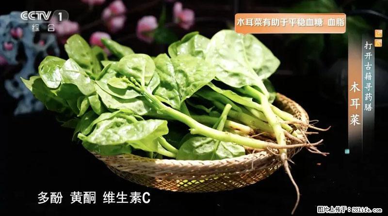 比牛奶补钙还厉害!凉血解毒、稳血糖...这菜冬天必吃,很多人却当草 - 天津生活资讯 - 天津28生活网 tj.28life.com