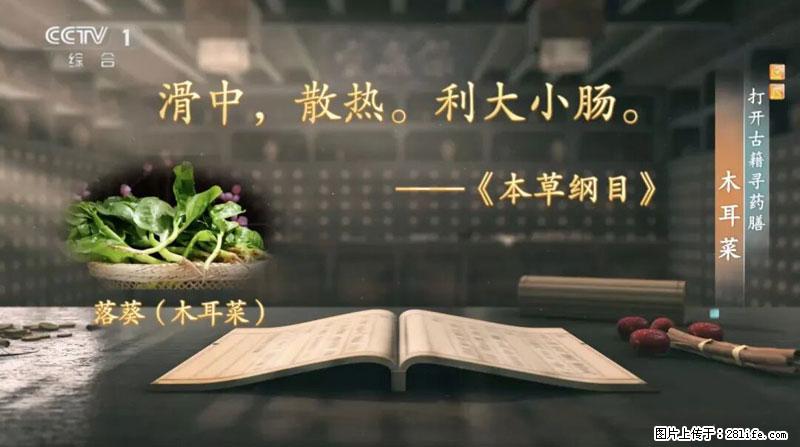 比牛奶补钙还厉害!凉血解毒、稳血糖...这菜冬天必吃,很多人却当草 - 天津生活资讯 - 天津28生活网 tj.28life.com