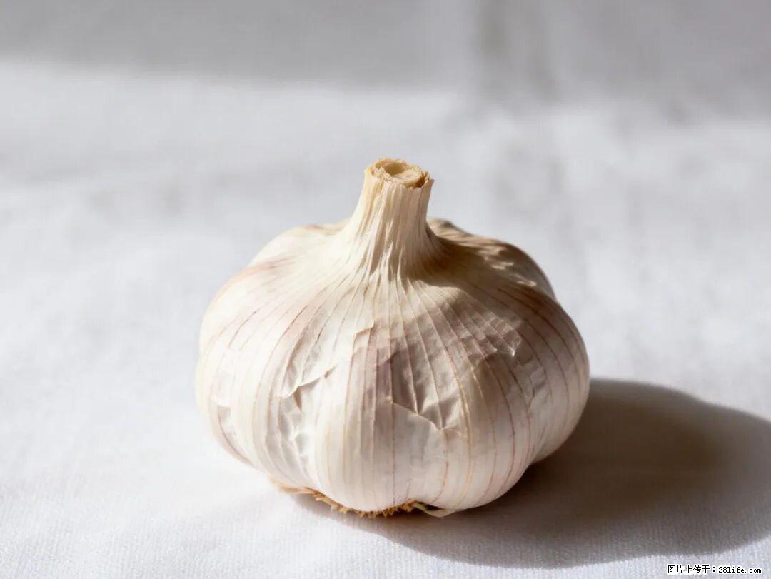 关于大蒜，除了“天然抗生素”，这4个谣言更该警惕! - 天津生活资讯 - 天津28生活网 tj.28life.com