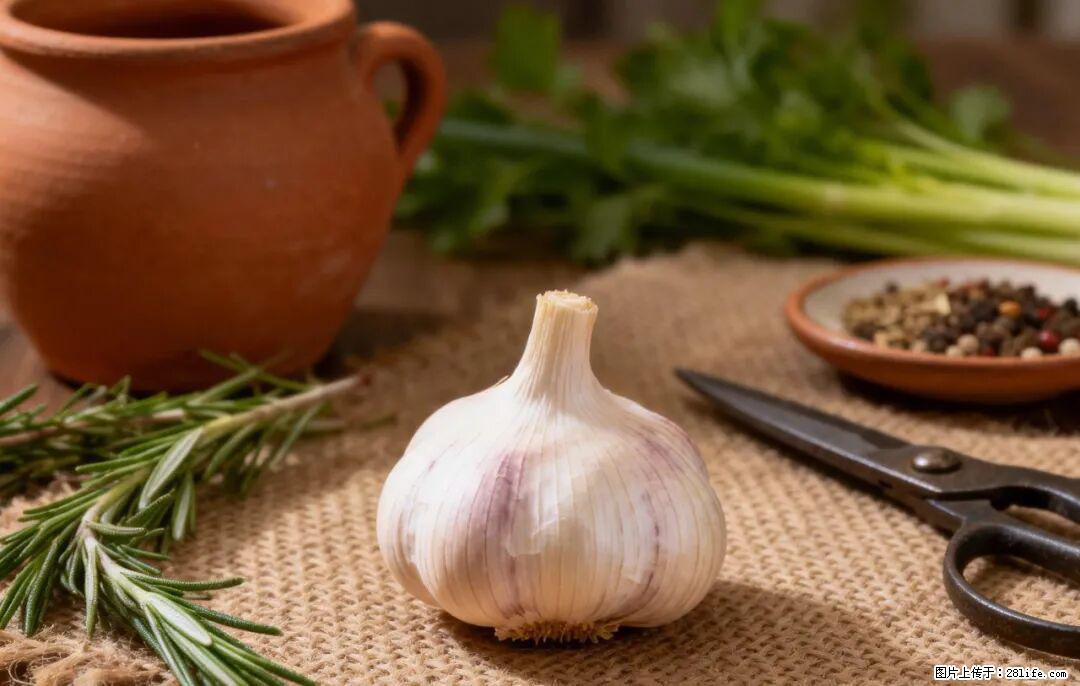 关于大蒜，除了“天然抗生素”，这4个谣言更该警惕! - 天津生活资讯 - 天津28生活网 tj.28life.com