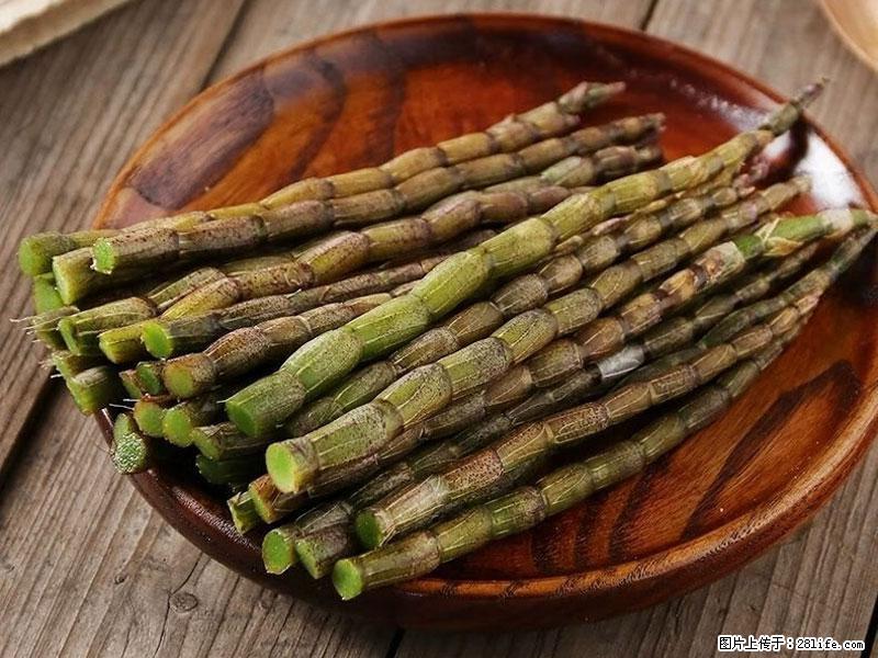 铁皮石斛的作用与功能主治 - 天津生活资讯 - 天津28生活网 tj.28life.com